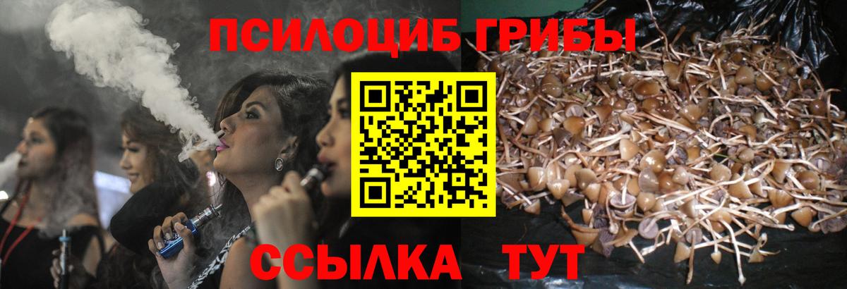 Борзя  Галлюциногенные грибы MAGIC MUSHROOMS  Вход с VPN  Галлюциногенные грибы GOLDEN TEACHER 